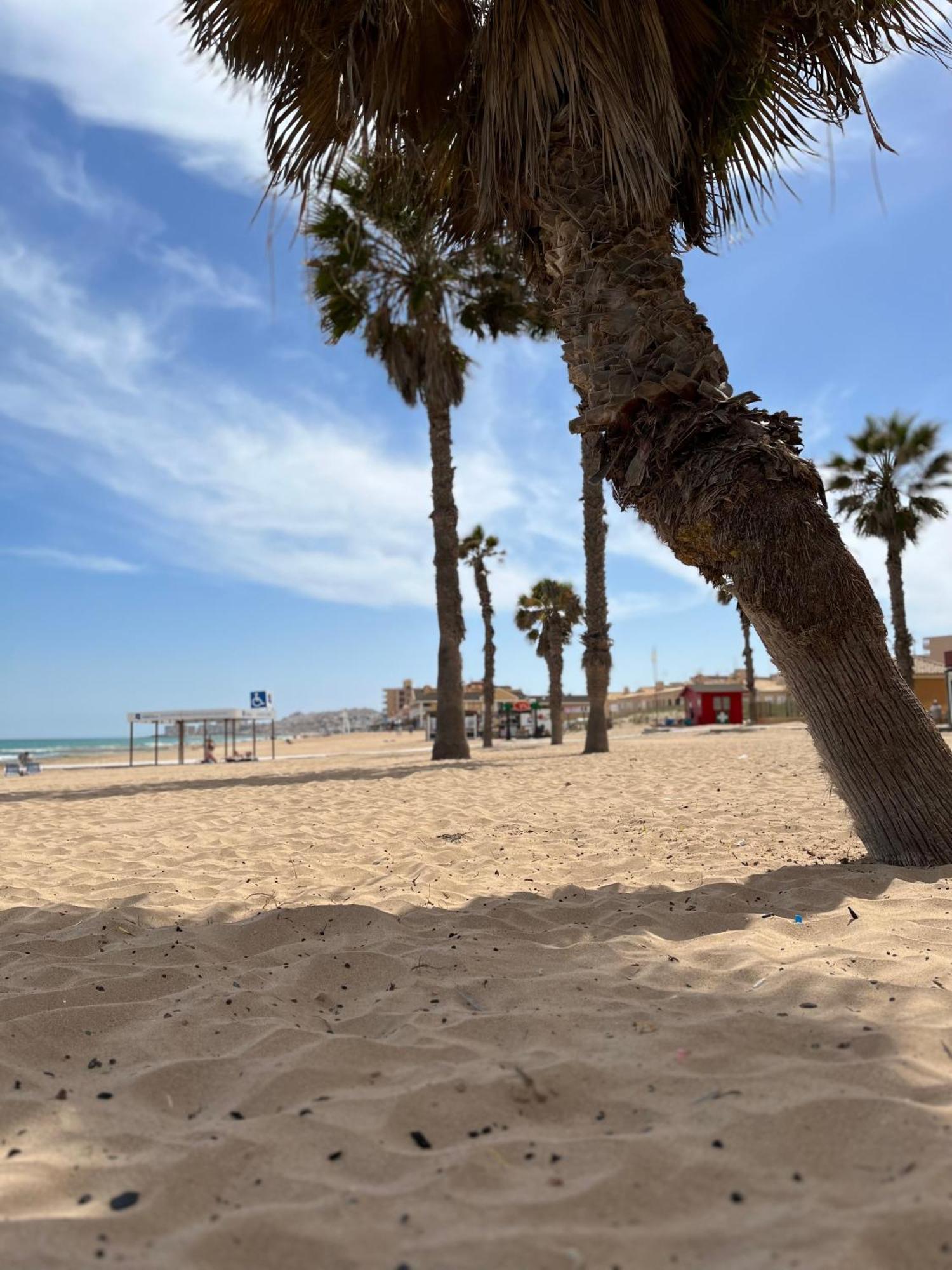 Sol De Mar, La Mata Apartment La Mata  Ngoại thất bức ảnh