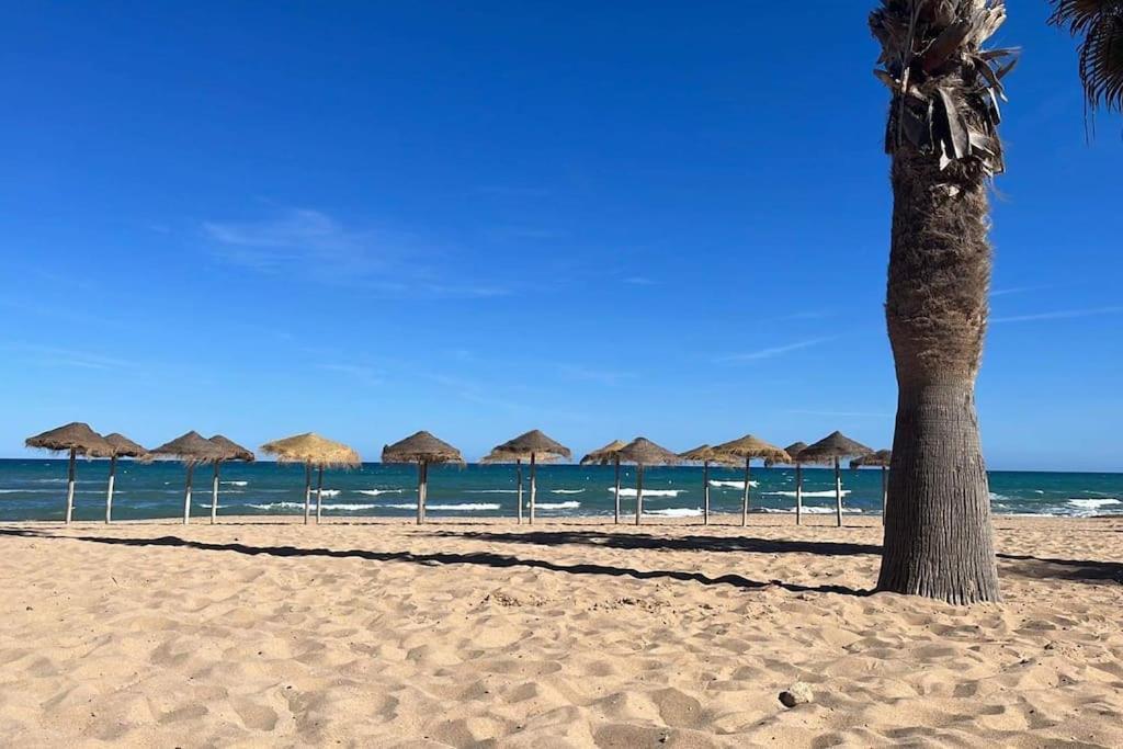 Sol De Mar, La Mata Apartment La Mata  Ngoại thất bức ảnh